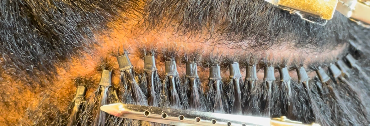 Professional I-tip Training - Hair By Shaunda Cass